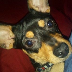 Meet your Posher, Steven